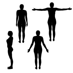 Vector silhouette of woman N142
