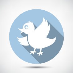 Small Cute Bird N2