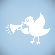 Bird With Horn
