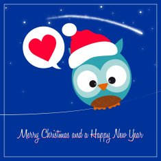 sweet owl in hat of santa claus overnight starry christmas