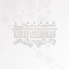 Vector Christmas Background N26