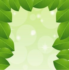 background with green leaves for a design