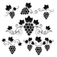 Winery design elements set