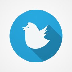 Bird social web or internet button Blue Fat icon