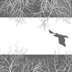 Crow N7