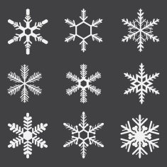 Set of snowflakes geometric shapes vector