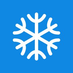 snowflake icon N20