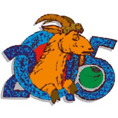 Year of Goat 2015 N2