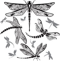 Set of decorative dragonflies