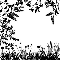Spring Landscape N6