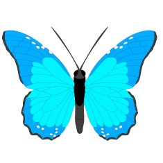Vector butterfly N4