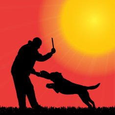 Vector silhouette of man with a dog N2
