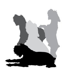 Vector silhouette of a dog N148