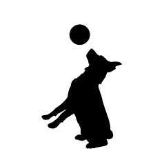 Vector silhouette of a dog N149
