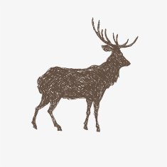 Deer hand drawn isolated on a white backgrounds vector illustration