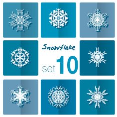Snowflake icon Winter theme snowflakes of different shapes N2