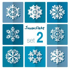 Snowflake icon Winter theme snowflakes of different shapes N5