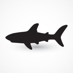 Shark Silhouette N8