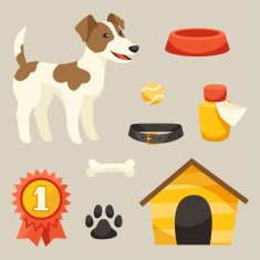 Set of icons and objects with cute dog