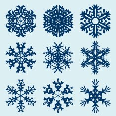 Snowflake icon Winter theme snowflakes of different shapes N6