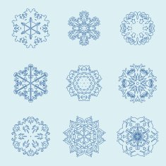 Snowflake icon Winter theme snowflakes of different shapes N7