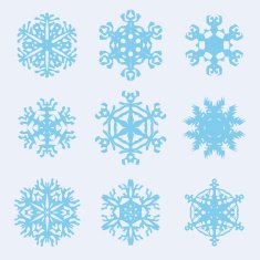 Snowflake icon Winter theme snowflakes of different shapes N10