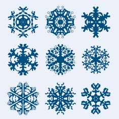 Snowflake icon Winter theme snowflakes of different shapes N11