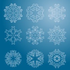 Snowflake icon Winter theme snowflakes of different shapes N12