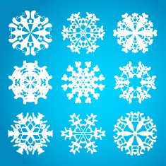 Snowflake icon Winter theme snowflakes of different shapes N14