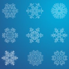 Snowflake icon Winter theme snowflakes of different shapes N15