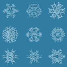 Snowflake icon Winter theme snowflakes of different shapes N16