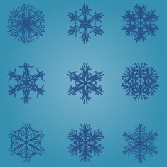Snowflake icon Winter theme snowflakes of different shapes N17