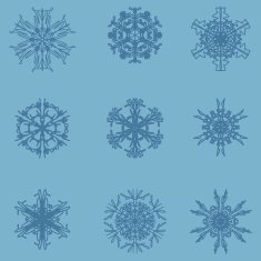 Snowflake icon Winter theme snowflakes of different shapes N18