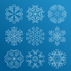 Snowflake icon Winter theme snowflakes of different shapes N20