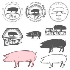 Set of pork labels badges and design elements