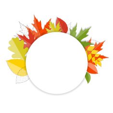 Shiny Autumn Natural Leaves Background Vector Illustration N35