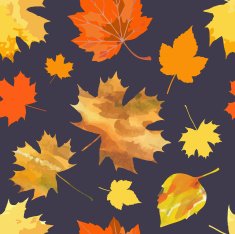 leaf fall N2
