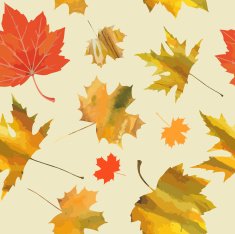 Fall N13