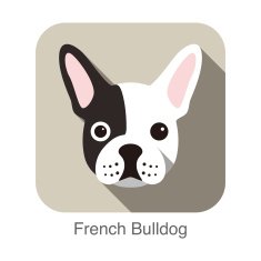 French bulldog face flat icon dog series