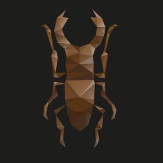Beetle abstract isolated on a black backgrounds vector illustration
