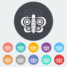 Butterfly single icon N3