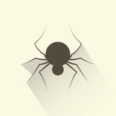 Spider N31