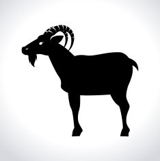 animal design N30