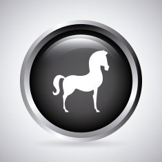 Pets design N3