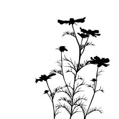 spring flower N6