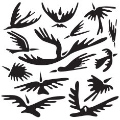 birds abstract symbols