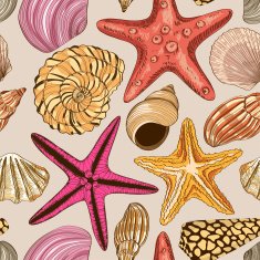 Seamless pattern of seashells and starfish N2