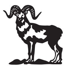 ram - black vector silhouette