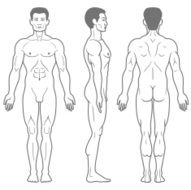 Male Body Front Side and Back View