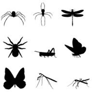 Insect Silhouette Collection